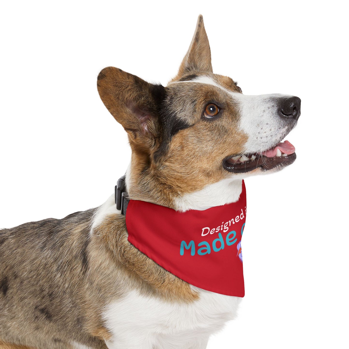 Designed in Heaven, Made on Earth-Custom Pet Bandana Collar