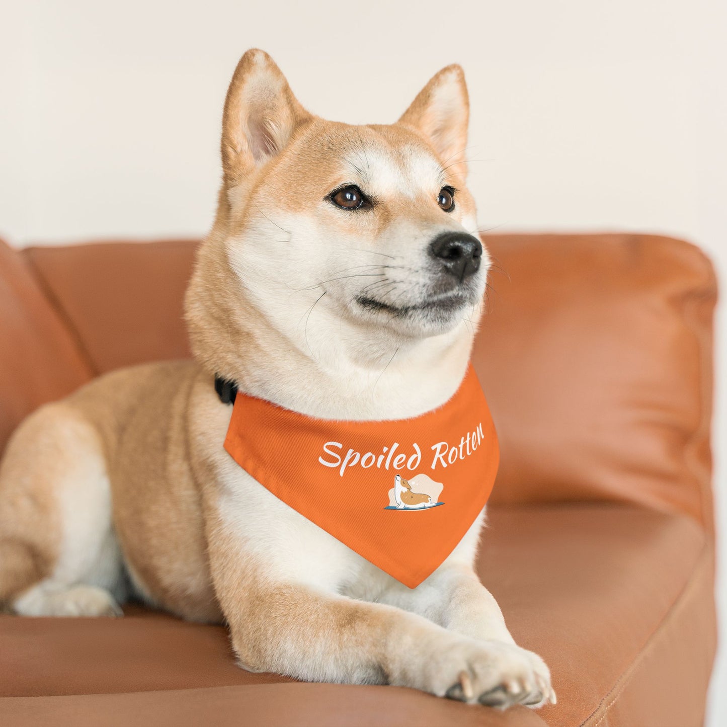 Spoiled Rotten Pet Bandana Collar - Cute Dog Accessory for Spoiled Pets