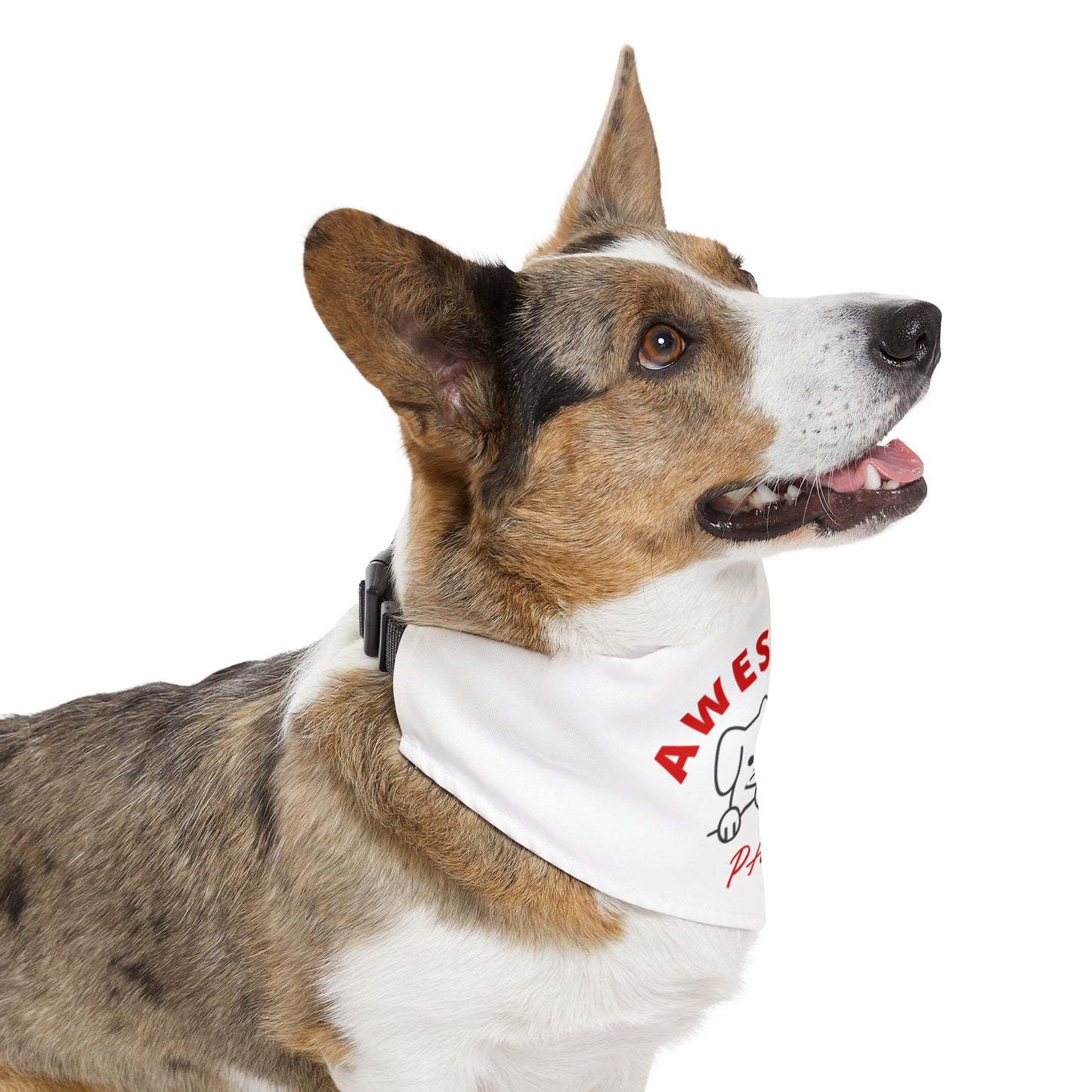 Awesome Pets Bandana Collar