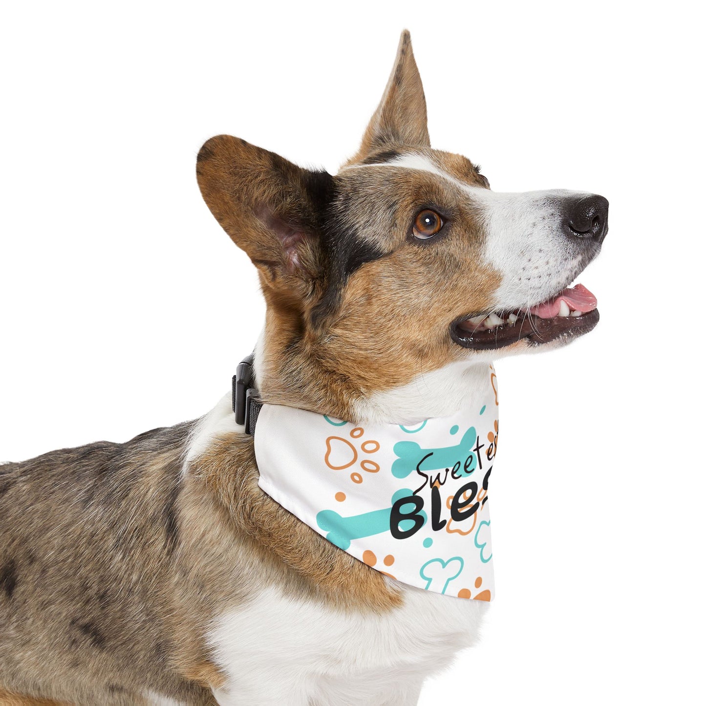 Sweetest Little Blessing Pet Bandana Collar - Cute Dog Accessory for Celebrating Pets