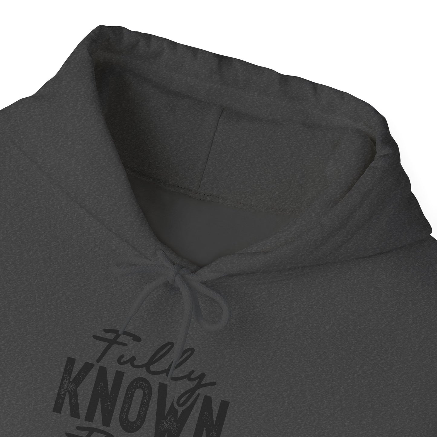Fully Known & Forgiven Hoodie - Unisex Heavy Blend Sweatshirt