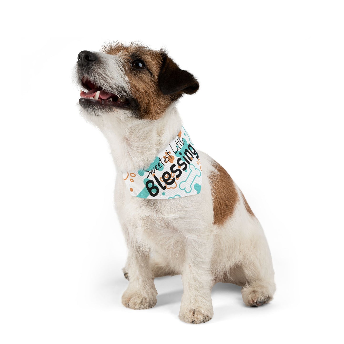 Sweetest Little Blessing Pet Bandana Collar - Cute Dog Accessory for Celebrating Pets