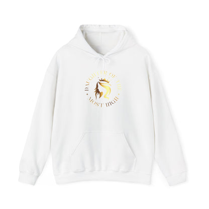 Golden Fox Unisex Hooded Sweatshirt - Stylish Cozy Wear