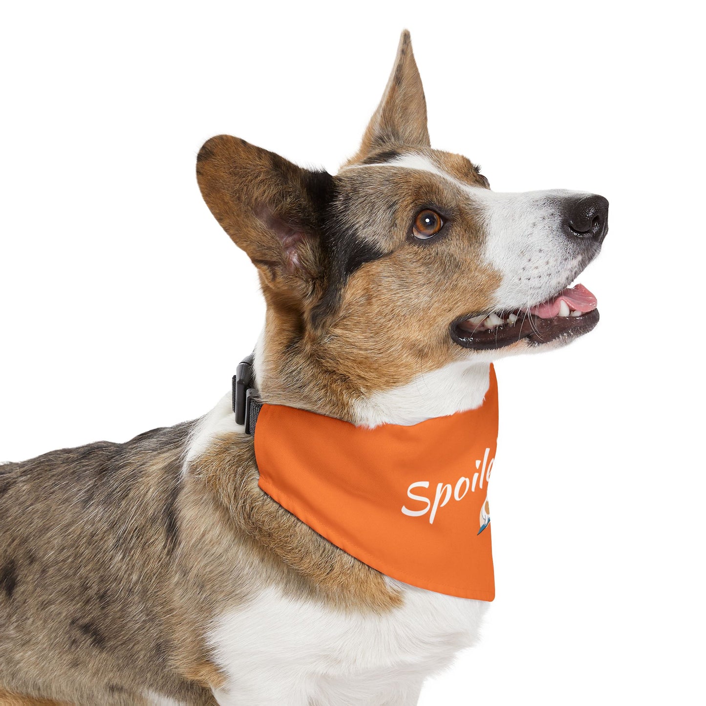 Spoiled Rotten Pet Bandana Collar - Cute Dog Accessory for Spoiled Pets