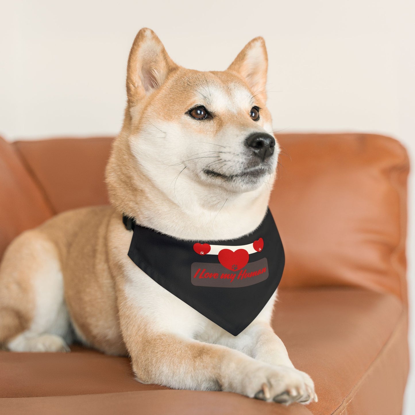 I Love my Human Pet Bandana Collar for Stylish Pets