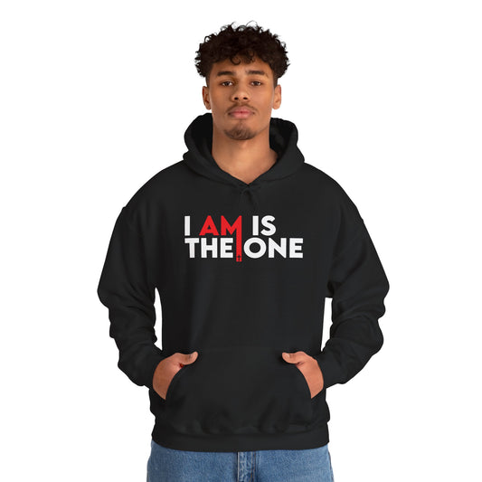 I AM IS THE ONE Hoodie - Unisex Heavy Blend®
