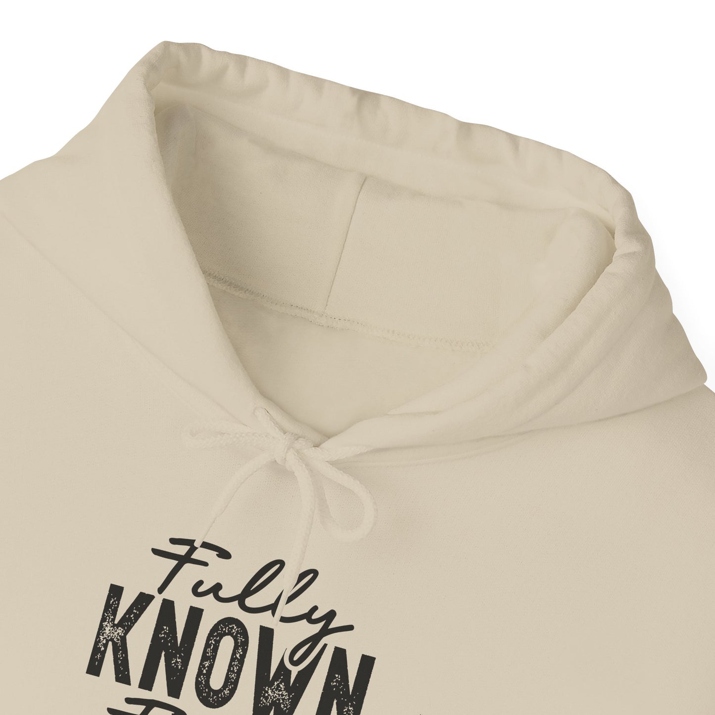 Fully Known & Forgiven Hoodie - Unisex Heavy Blend Sweatshirt