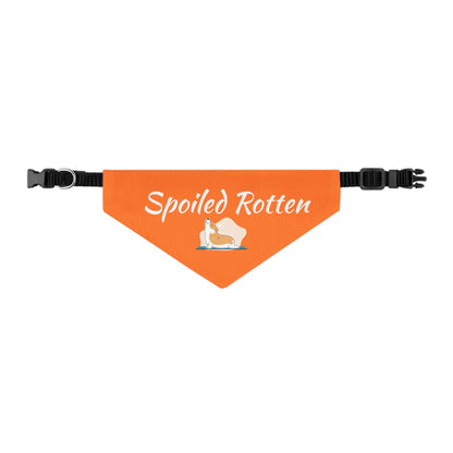 Spoiled Rotten Pet Bandana Collar - Cute Dog Accessory for Spoiled Pets