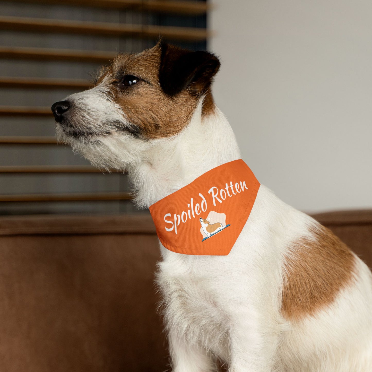Spoiled Rotten Pet Bandana Collar - Cute Dog Accessory for Spoiled Pets