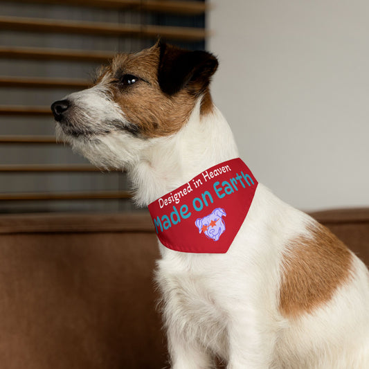 Designed in Heaven, Made on Earth-Custom Pet Bandana Collar