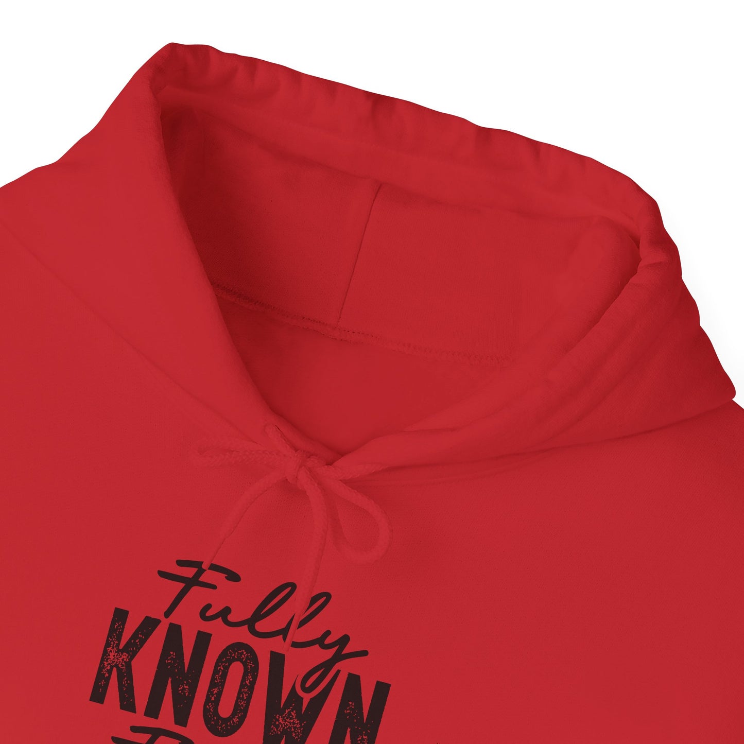 Fully Known & Forgiven Hoodie - Unisex Heavy Blend Sweatshirt
