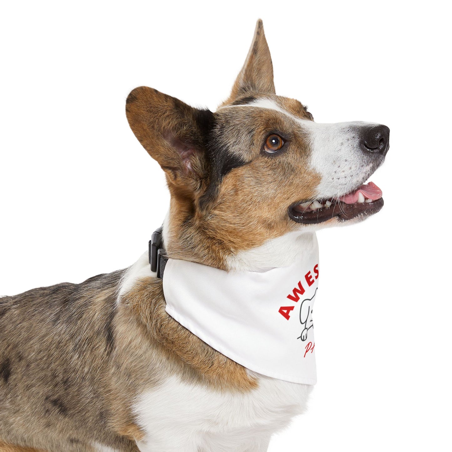 Awesome Pets Bandana Collar