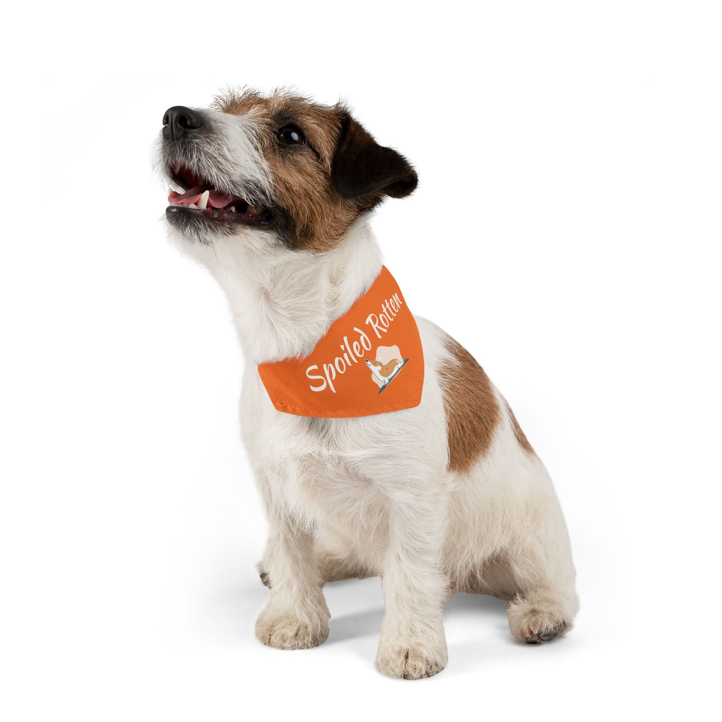 Spoiled Rotten Pet Bandana Collar - Cute Dog Accessory for Spoiled Pets