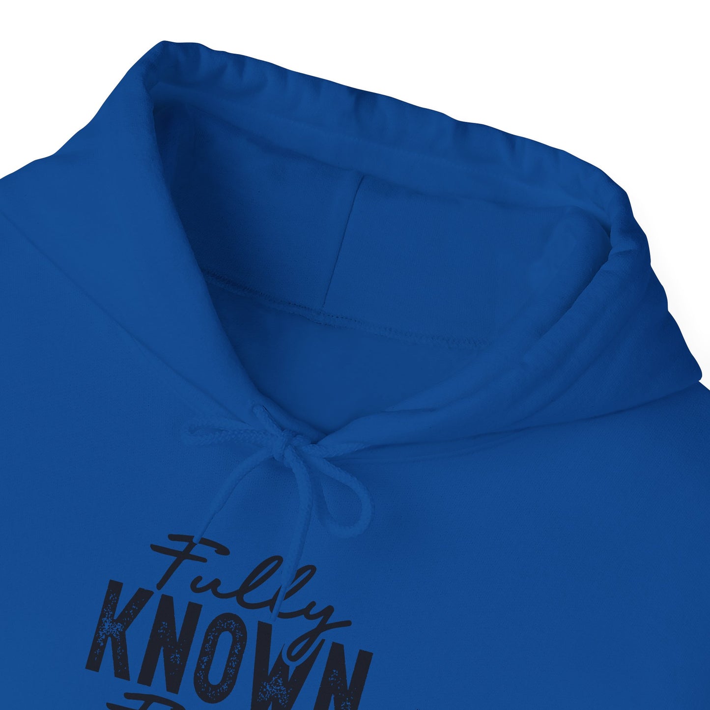 Fully Known & Forgiven Hoodie - Unisex Heavy Blend Sweatshirt