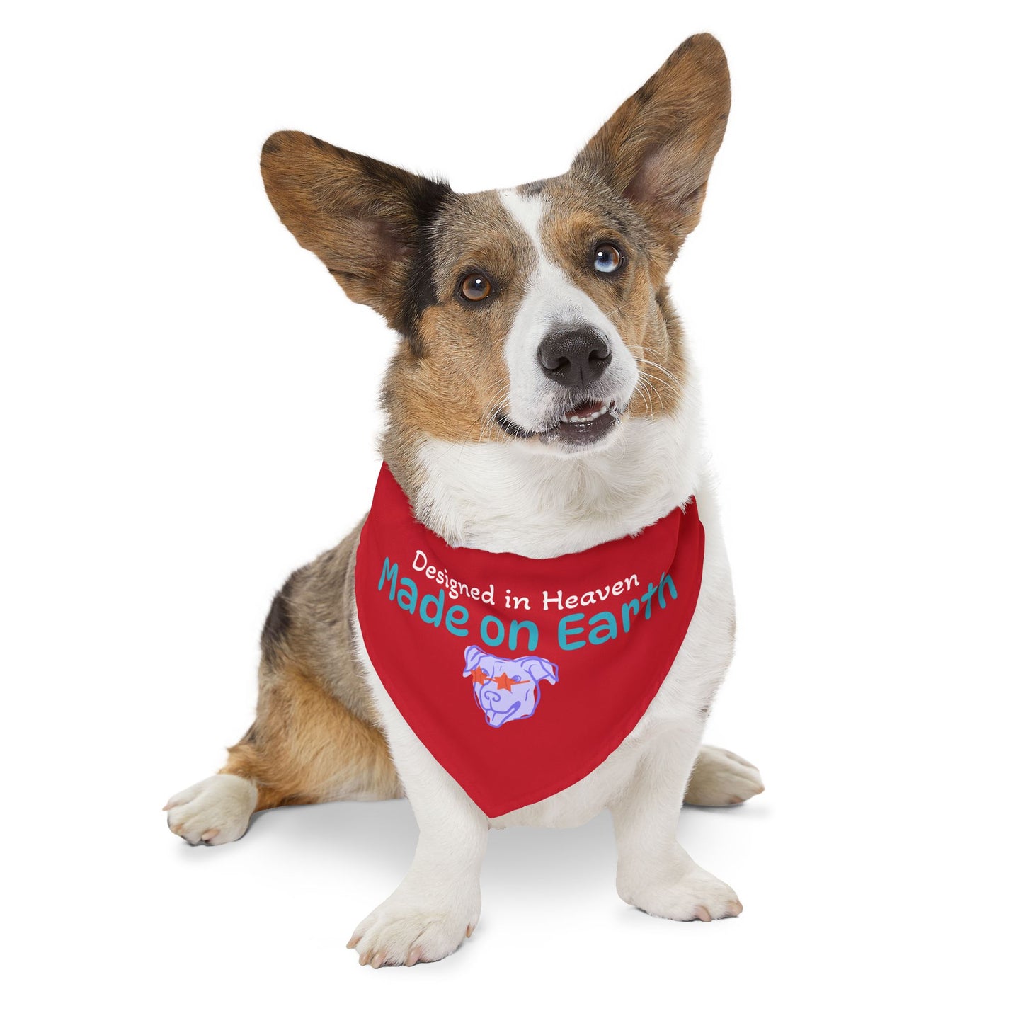 Designed in Heaven, Made on Earth-Custom Pet Bandana Collar