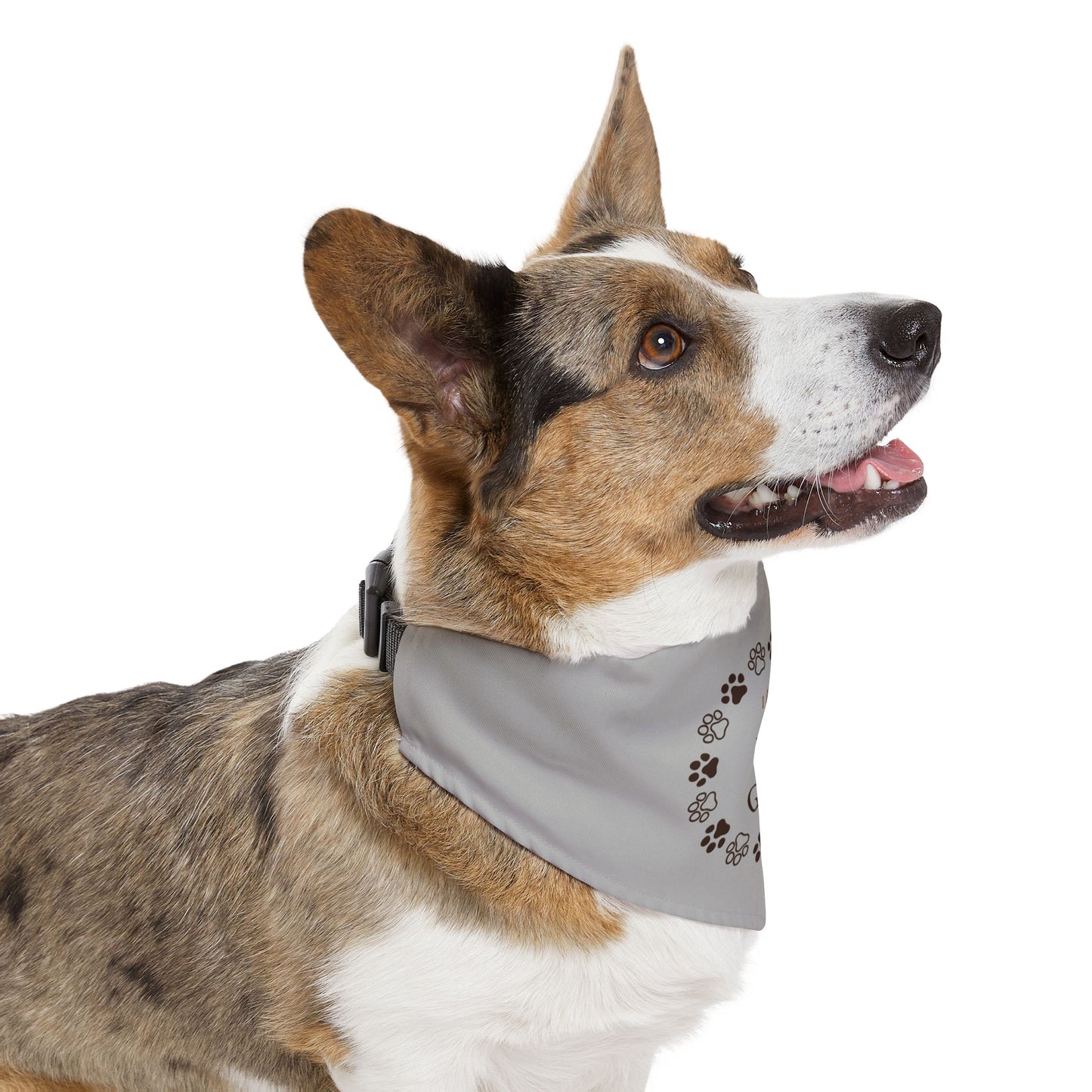 I Am Loved by God Pet Bandana Collar - Faith-Inspired Dog Accessory