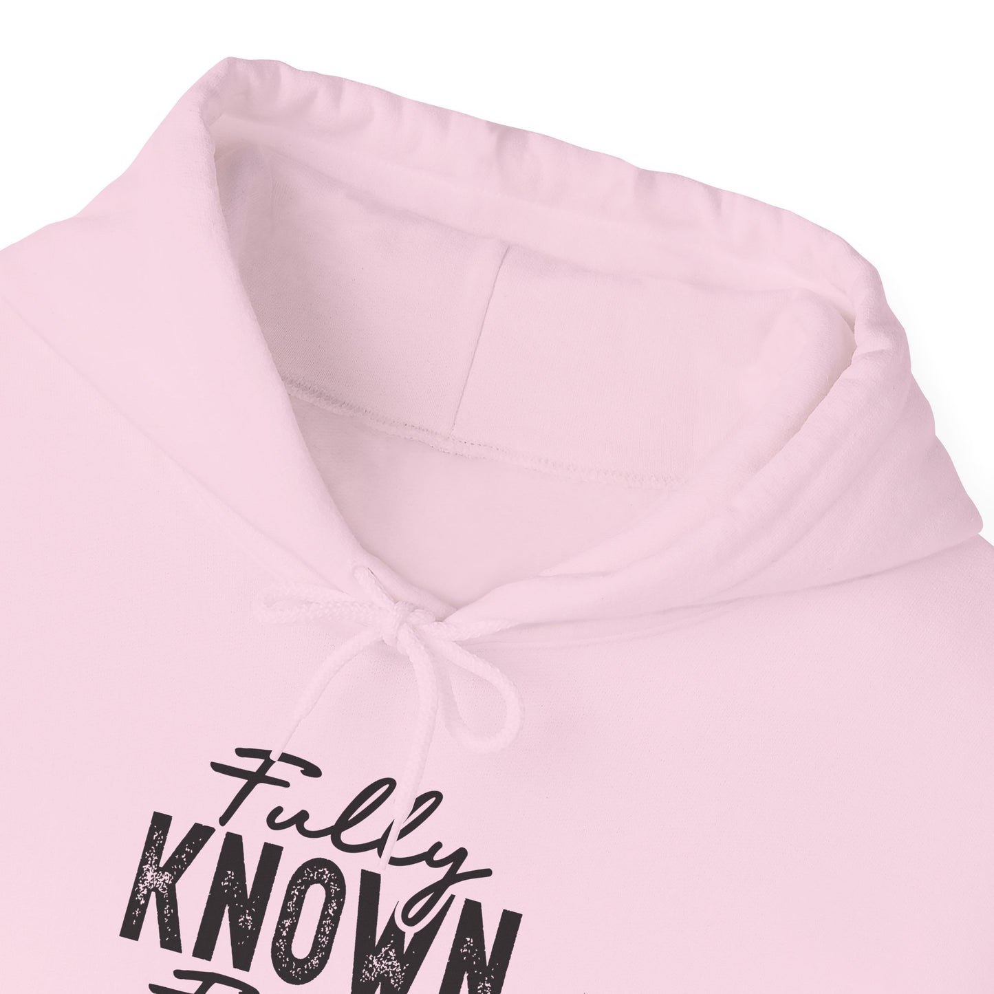 Fully Known & Forgiven Hoodie - Unisex Heavy Blend Sweatshirt
