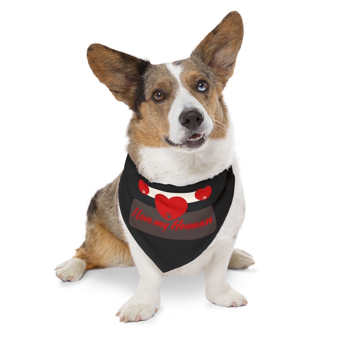 I Love my Human Pet Bandana Collar for Stylish Pets